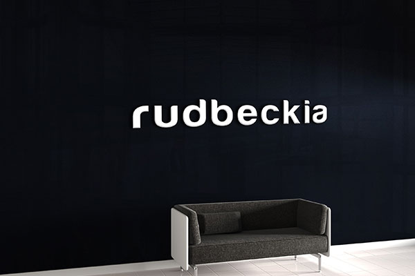 Lobby Interior Sign - rudbeckia